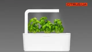 Умный цветочный горшок Click&Grow Травы