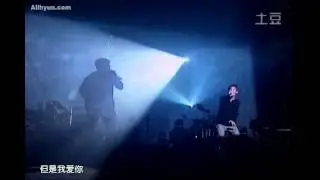 Pine Tree 安七炫