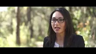 The Baha&rsquo;i Community - Social, Spiritual and Material Advancement