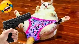 You Laugh You Lose 🤣 Funniest Cats and Dogs 2026 🙄 #funny_videos #funny_animals #animals