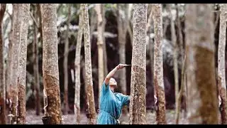 Saran kaji semula dasar RISDA