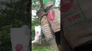 ###খুবই অল্প বয়েসে সে খেজুর গাছ কাটে 😌