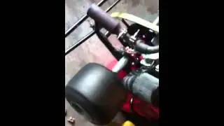 Biesse clone kart