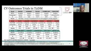 Cardi-OH ECHO - New and Emerging Treatments for Type 2 Diabetes