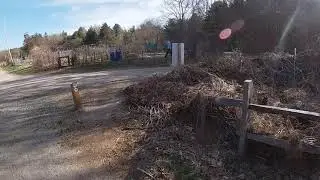 wellesley town trals
