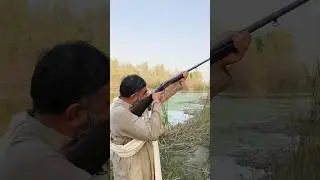 Hunting with a Classic: Antique Gun Adventure!