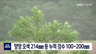[단신]양양 오색 214mm, 영동지역 100~200mm 누적강수 220810