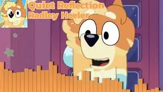 Quiet Reflection by Radley Heeler (Instrumental)