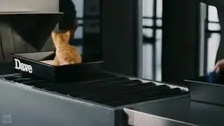 Dave UKTV - Airport Cat Ident - 2014-2022