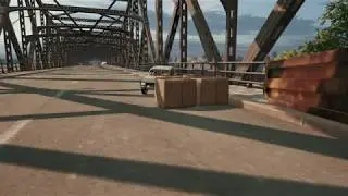 Bridge Crossing