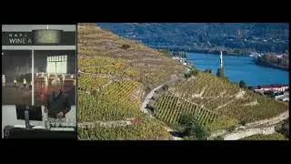 Viognier from Condrieu - Aromatic White Wines Class - Napa Valley Wine Academy