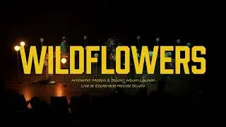 Amberhill - Wildflowers (Live)