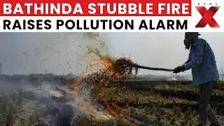 Stubble Burning Reported in Bathinda Field, Punjab Amid Rising Air Pollution Concerns