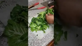 CLEANING AND CUTTING FRESH COLLARD GREENS