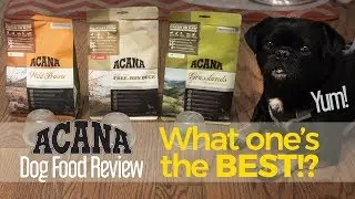 Do you know which variety of ACANA Kilo liked best? Dog Food Product Review.
