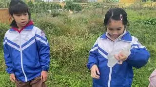 Bắt con cào cào 