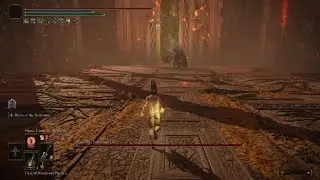 (nearly) no hit Godfrey run | Elden ring