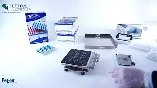 FetonCards - Compact60 capsule Filler