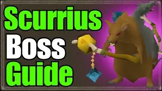 Scurrius, The Rat King Boss Guide (BIS Combat XP)