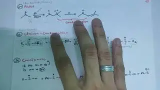 OC Revision 4