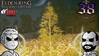 Gold without Order - Elden Ring: Shadow of the Erdtree (Part 38) - 1ShotPlays (Blind)