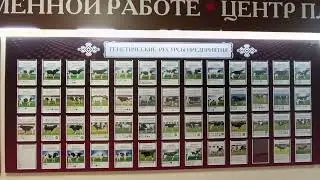 DIGIFARM и АО &laquo;Чувашское&raquo; по племенной работе: совместная поездка к хозяйствам Чувашской Республики
