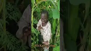 Tinga Tinga so funny short video 🤣 #vairalvideo #kb Kalyan vlog