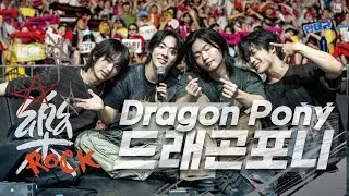 2025 부산록페 화제! 청춘의 심장을 울리다⚡ 드래곤포니 🎸  울산서머페스티벌 무대 모음!