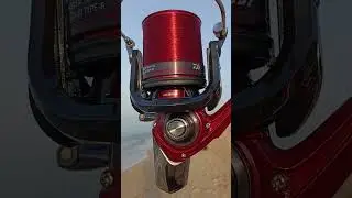 #fishing #daiwa #surfcasting #montage #pache #daiwafishing #algerie #المغرب #shortsvideo #سمك