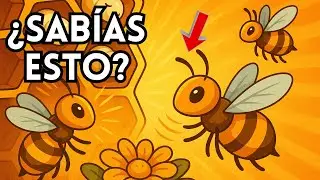 🐝 20 DATOS CURIOSOS que NO SAB&Iacute;AS sobre las ABEJAS 🍯💛