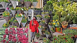 Namile kami ng HALAMAN sa B&Q para sa hanging plants/may 13 2021/