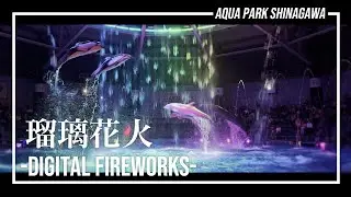 【4K】マクセル アクアパーク品川　「瑠璃花火-Digital Fireworks-｣　ドルフィンパフォーマンス NAKED 花火アクアリウム2024 【イルカショー】