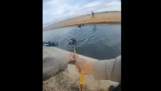 Yuma County deputy helps rescue migrants in canal: raw footage