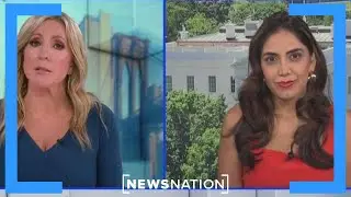Geopolitical adviser: DC leadership is broken | NewsNation Live