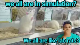 What is simulation? | explained in Tamil | Are we like lab rats
