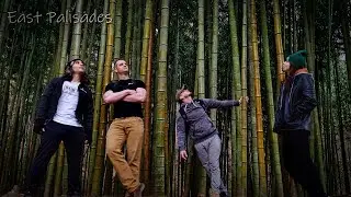 MASSIVE Bamboo Forest in Atlanta? (Hiking East Palisades)