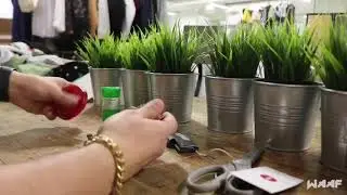Rolling a tulip joint