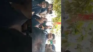 hur mafi wathan jo noha anjmne qamar bani hashim