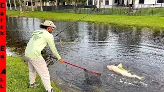 CATCHING the WHITE WHALE in a Canal! **The Claws in the Tunnel**