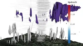 Visualization of Clouds and Atmospheric Air Flows (IEEE Scientific Visualization Contest 2017)