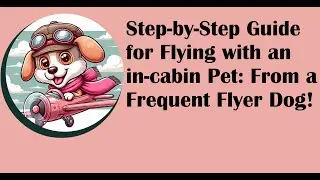 Flying with a pet in cabin: Guide and tips from a frequent flyer dog!
