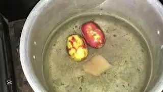 Homemade cat food ||best cat food||Yummy cat food 