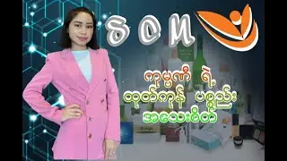 Successmoer ကုမ္ပဏီ ရဲ့ အသက်သွေးကြောဖြစ်တဲ့ ထုတ်ကုန်ပစ္စည်း အကြောင်း အသေးစိတ်