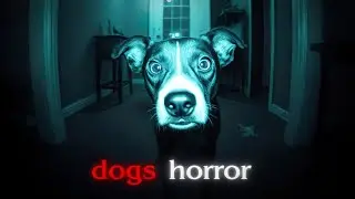 My Pet Refused to Enter One Room and What I Found Was Truly Terrifying | REAL HORROR Story
