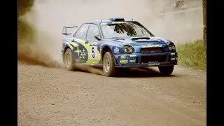 HARDCORE DIRT RALLY 2.0 GAMEPLAY | Finland 6 | Logitech G25