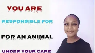 THE LIABILITY FOR ANIMALS UNDER YOUR CARE. #personalinjuryattorneys #law #askalawyer