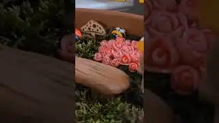 Fairy Garden! Dollar store DIY! 🧚&zwj;♂️