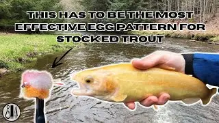 Trout Fishing Pennsylvania Creek (Using Y2K egg pattern!)