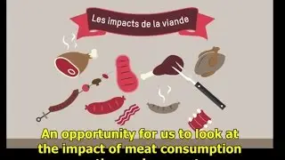 4 minutes to understand the real impact of meat consumption on the environment [Eng subs]