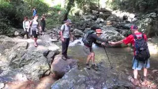 WARRIE CIRCUIT